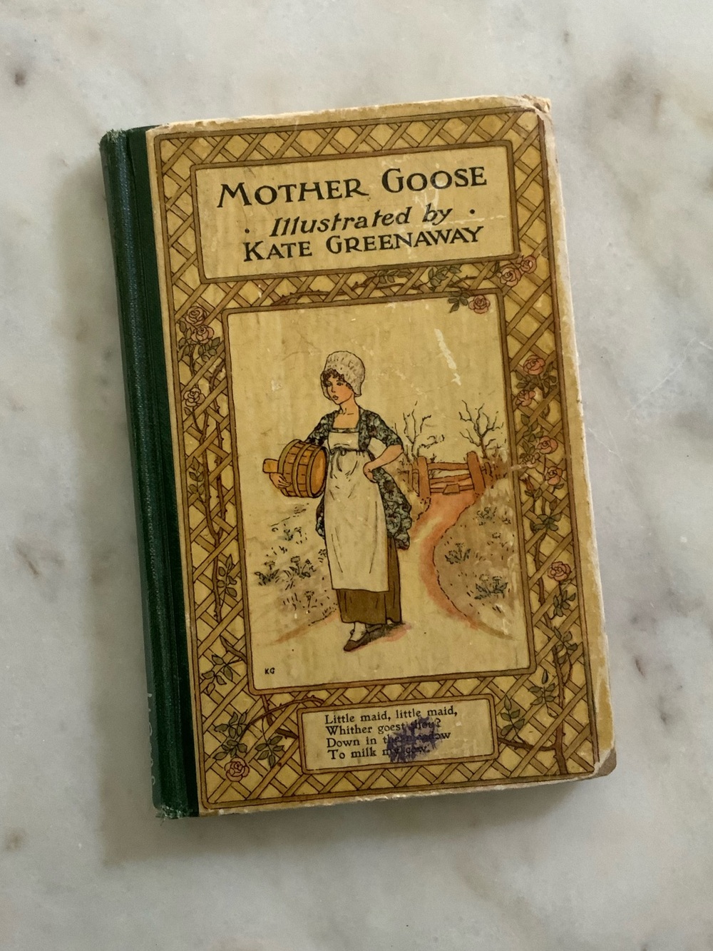 Mother Goose Illustrated Book
